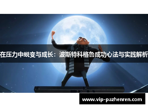 在压力中蜕变与成长：波斯特科格鲁成功心法与实践解析