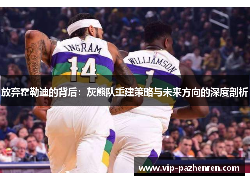 放弃霍勒迪的背后：灰熊队重建策略与未来方向的深度剖析