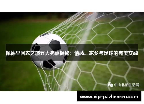 佩德里回家之旅五大亮点揭秘：情感、家乡与足球的完美交融