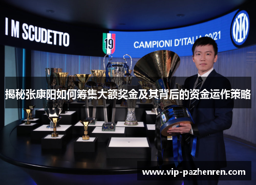 揭秘张康阳如何筹集大额奖金及其背后的资金运作策略