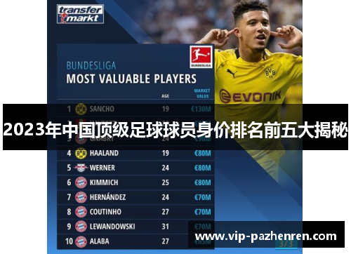 2023年中国顶级足球球员身价排名前五大揭秘