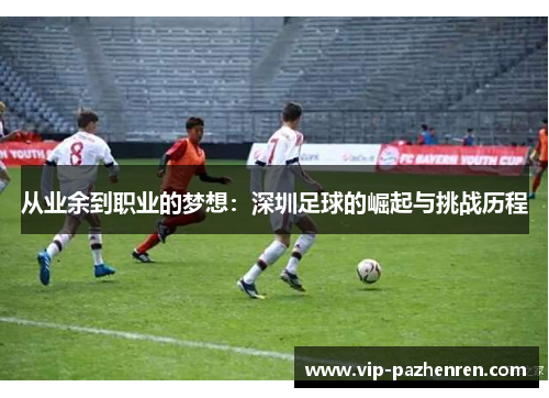 从业余到职业的梦想：深圳足球的崛起与挑战历程