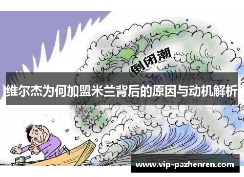 维尔杰为何加盟米兰背后的原因与动机解析