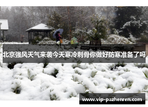 北京强风天气来袭今天寒冷刺骨你做好防寒准备了吗