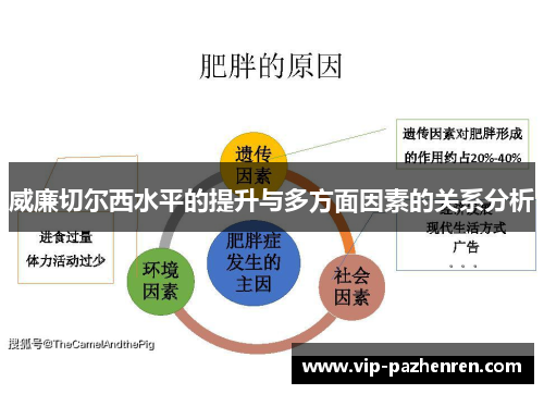 威廉切尔西水平的提升与多方面因素的关系分析