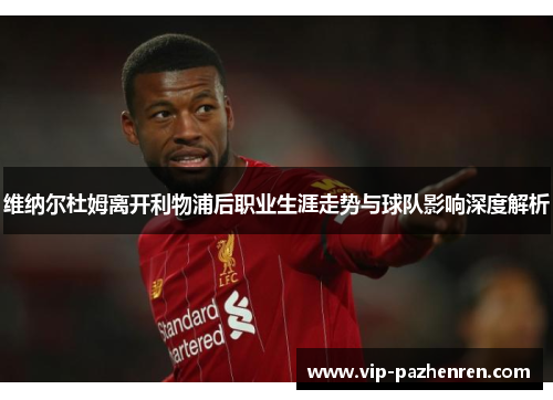 维纳尔杜姆离开利物浦后职业生涯走势与球队影响深度解析