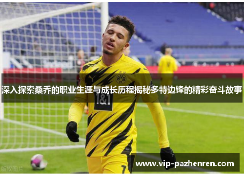 深入探索桑乔的职业生涯与成长历程揭秘多特边锋的精彩奋斗故事